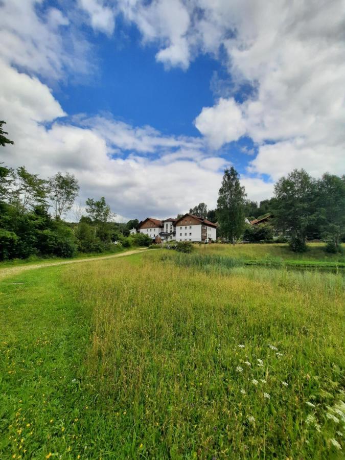Arberapartment Bayerisch Eisenstein Kültér fotó